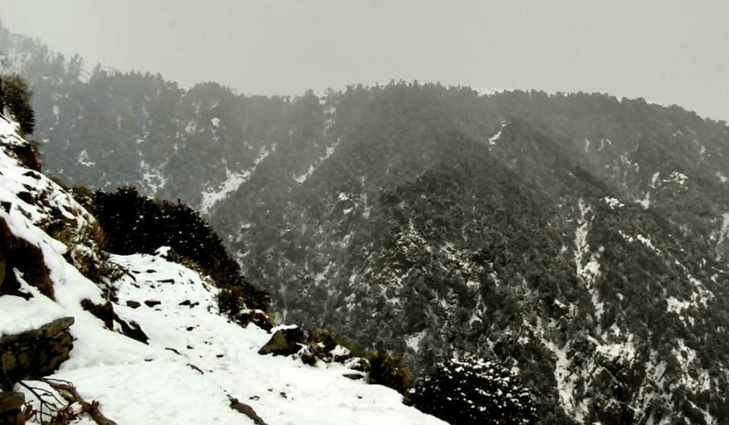 Snowfall in Dharamshala Himachal